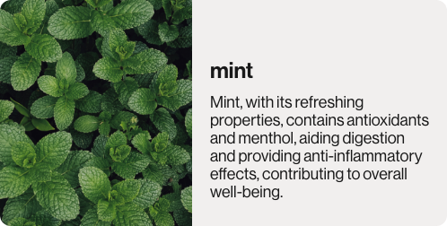 Mint is used in lemon mint soup mix. Good for digestion.