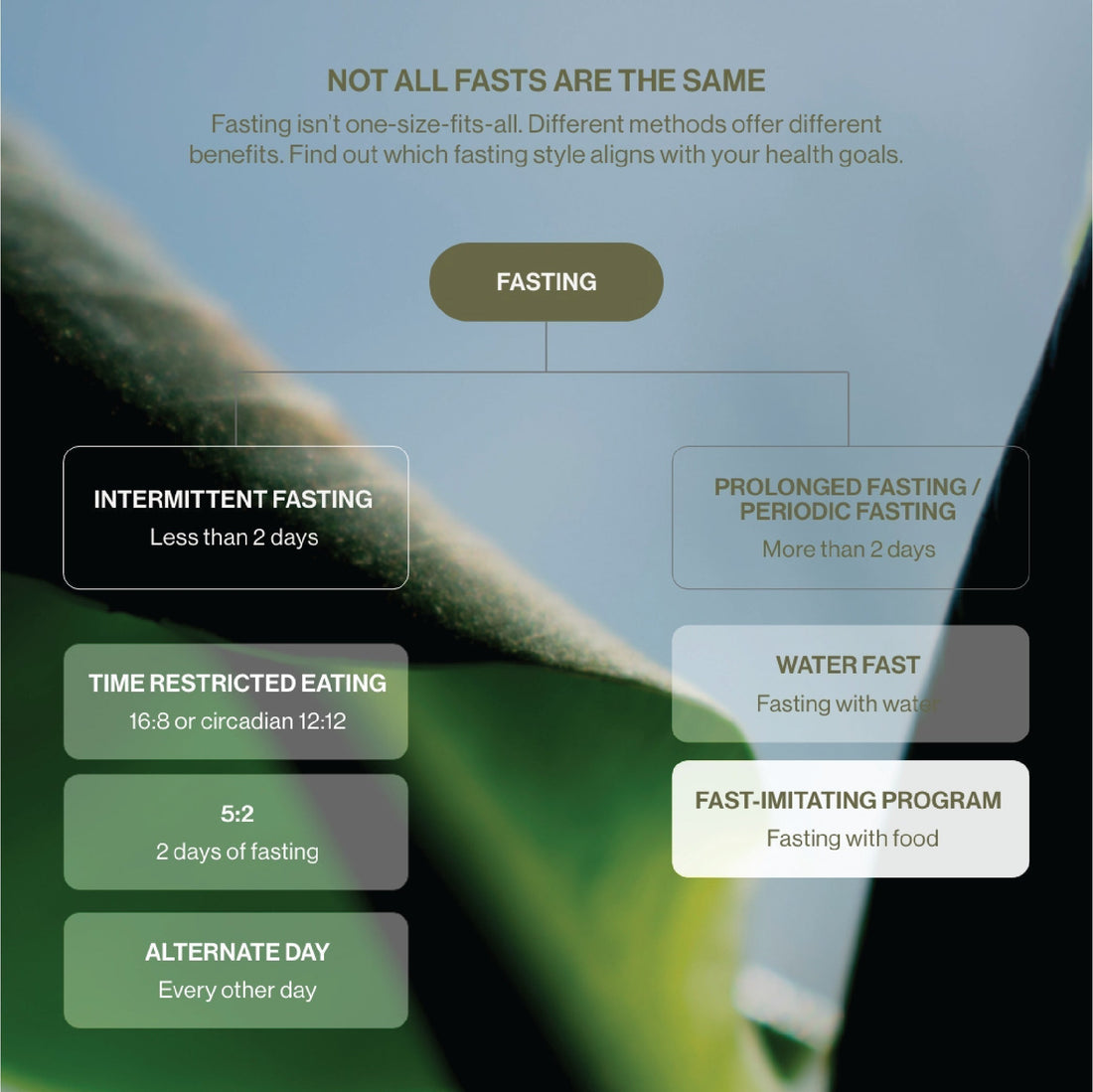 Correct Fasting Not All Fasts Are Equal: Fasting Types for Your Health Goals