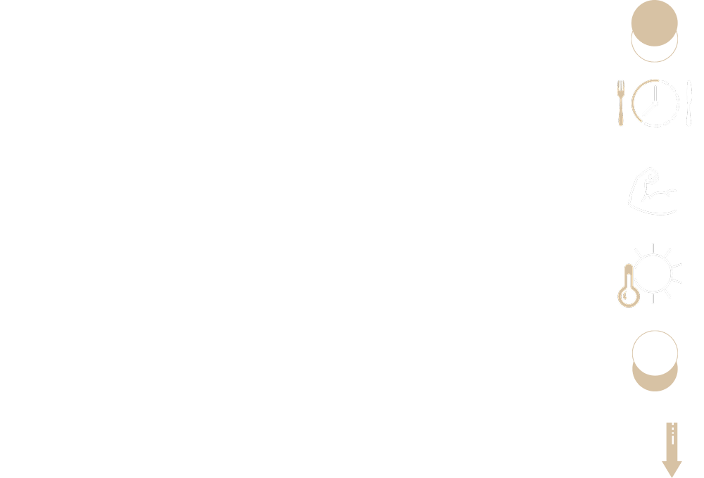 Tab 2 Image