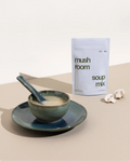 mushroom soup mix