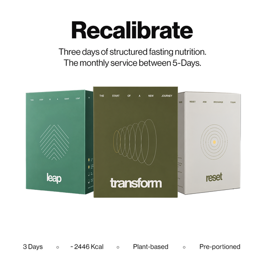 Outlive 3 Day Recalibrate program - 1